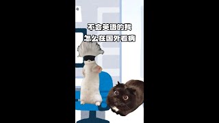 就算英语不好，也可以在国外看病！#memes #猫meme #Felo实时翻译