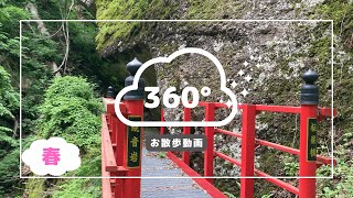 【360°お散歩動画】観音岩・春