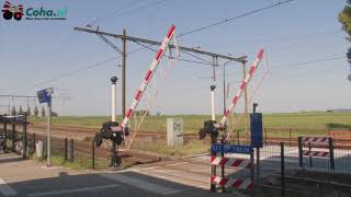 Spoorwegovergang Station Krabbendijke 😍4K😍 // Dutch railroad crossing