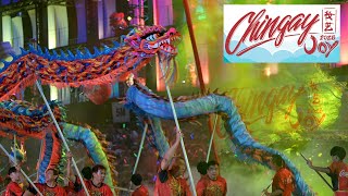 60 Lion Dancers Unleash a Fiery Performance Like Never Before at Chingay 2025 Joy