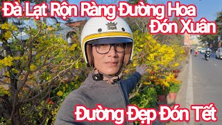 Đà Lạt Đường Hoa Rộn Ràng Đón Tết, Đường Bùi Thị Xuân