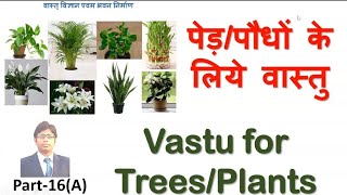 पेड़/पौधों के लिए वास्तु Vastu for Trees/Plants