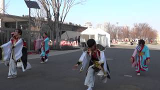 流　東京支部 ①「宝船」／東京臨海広域防災公園有明口／東京大マラソン祭り2014