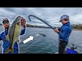 Catching MAGNUM Spotted Bass On Smith Lake With Jesse Wiggins!