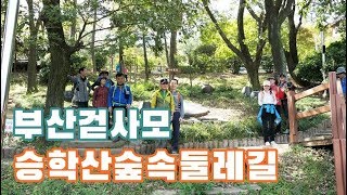 [부산걷사모] 제46차 승학산 숲속둘레길 산행