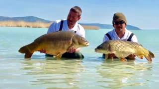 Carpcorner-Kora tavaszi pontyozás Balatonudvari(Lake Balaton)2017