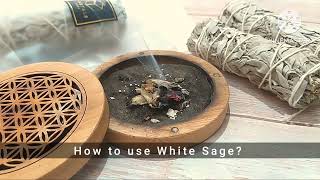 How To Use White Sage?