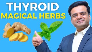 Top 5 Thyroid Boosting Herbs : Magical Herbs For Thyroid Health !