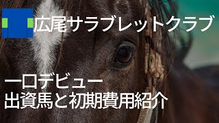 【🔰一口馬主】出資馬と初期費用の紹介！いざメイクデビューへ！！