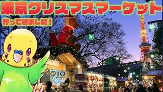 旅するインコが、東京クリスマスマーケット 2019へ行ってきたよ!!   Tokyo Christmas Market