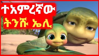 🔴 ትንሹ ኤሊ አያቶቹን ከእስር አዳነ|Film wedaj | mert film - ምርጥ ፊልም | Filmegna | sera film | mezgeb film