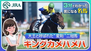 【3分でわかる】キングカメハメハ・大王と呼ばれた“変則”二冠馬 | JRA公式