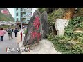 林口小燕姐～2024.11.20 （下）巴馬～百鳥岩、長壽村