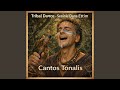 Tribal Dance - Seninle Dans Ettim