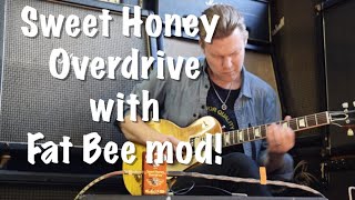 Mad Professor Sweet Honey Overdrive with Fat Bee mod