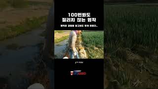 100번봐도 질리지 않는 명작ㅋㅋ#shorts