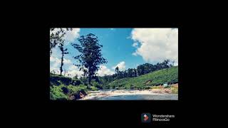 Go with the flow..Pebble stones river - Valparai..( Koolangal Aaru in Tamil)