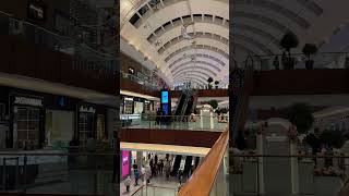 Dubai mall #viral #trending #dubai #burjkhalifa #best #shortvideo #reels #dubaimall