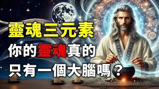 揭秘靈魂三元素！你的靈魂真的只有一個大腦嗎？