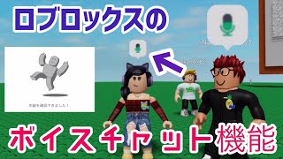 【ロブロックス】ロブロの新機能、ボイスチャットをやってみた❗️手続きの流れや、実際にはどう聞こえるかを検証❗️Roblox New Function, Voice Chat!