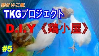 鶏小屋DIY《ひよこから卵を、稲からお米を育てて卵かけご飯を作ろう》TKGプロジェクト#5【やあめんkitchen】