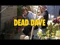 DEAD DAVE'S 