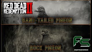 Red Dead Redemption 2 - Band Tailed Pigeon \u0026 Rock Pigeon Location