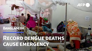 Bangladesh hospital in 'emergency' after record dengue deaths | AFP