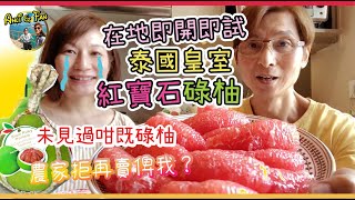 泰國皇室紅寶石碌柚唔做我生意？阿帆處男開箱地道切【Ahli and Fan 窮退泰無憂】