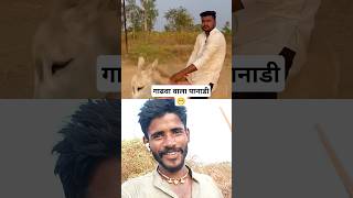 गाढवा वाला पानाडी#comedy #funny #fun #viralvideo #explore  #shortsfeed #vlog#youtubes #memes#collab