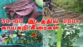 தனது ஐந்து சென்ட் நிலத்தில் 260 மேற்பட்ட காய்கறி,கீரை ரகங்களை பாதுகாத்து வரும் உழுது உண் சுந்தர்