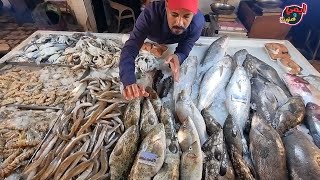 شاهد انواع وأسعار احلي تشكيلة سمك سويسي 🐟 من اللي القلب يحبة 😍 بسوق الأنصاري