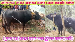 কোনাপাড় ভাস্কর মাহাতর আসর থেকে সরাসরি লাইভ ♨️ ছুটুলাল মাহাত বামনি ভাস্কর মাহাত কোনাপাড়া