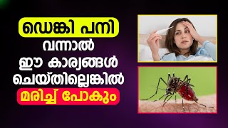 ഡെങ്കി പനി വന്നാൽ ഈ കാര്യങ്ങൾ ചെയ്തില്ലെങ്കിൽ മരിച്ച് പോകും  | Family Dr