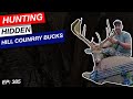 Hunting Hidden Bucks | Hill Country Bucks | Cody Schleich