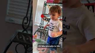 Epic birthday dj fun with little ones #dj