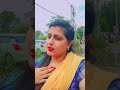 kabutar ja ja #youtubeshorts #trending #shortsvideo #hindisong #bollywoodsongs #filmisongs #haryanvi