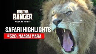 Safari Highlights #520: 11 & 12 March 2019 | Maasai Mara/Zebra Plains | Latest #Wildlife Sightings