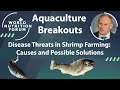 WNF 2016 Aquaculture Breakouts: 05 Disease Threats in Shrimp Farming: Causes and Possible Solutions