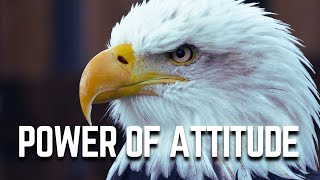 THE POWER OF ATTITUDE | Best Motivational Speech | Lion and Eagle Attitude
