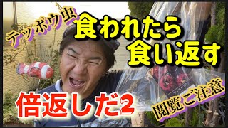 【食われたら食い返す!倍返しだ！】2の巻！(オリーブオイル編)