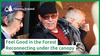 Feel Good in the Forest | reconnecting under the canopy