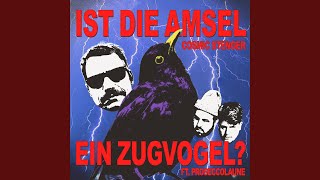 Ist die Amsel ein Zugvogel (feat. Proseccolaune)