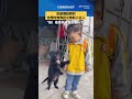 【萌化了！😃🐶😁狗狗拍照时起立牵起小主人】近日，广东，狗狗知道主人要拍合照，主动站起来牵起小主人。也太可爱了吧！网友：狗子，你是懂拍照的！