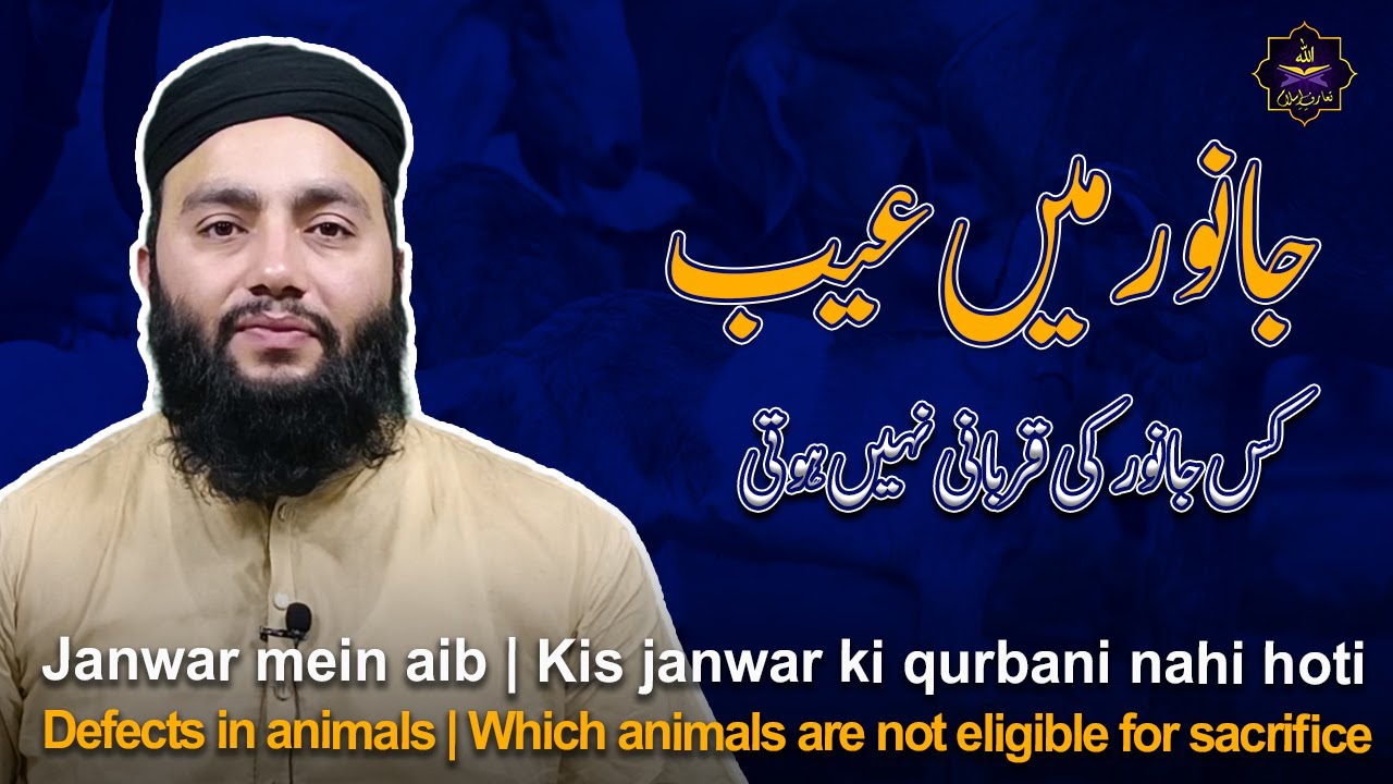 Janwar Mein Aib | Kis Janwar Ki Qurbani Nahi Hoti | Taruf E Islam - YouTube