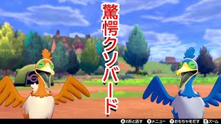 色違いのウッウがくわえてきたものに一同驚愕【ポケモン剣盾/Vtuber】