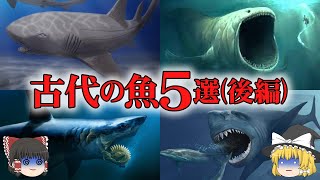 【ゆっくり解説】古代海のギャングたち　サメの仲間など～古代の魚5選(後編)～