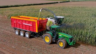 Mais 2022 : Egide London / Claas Jaguar 990 / John Deere 8320 / Maishäckseln / John Deere 8R / Maize