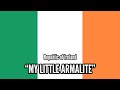 “My Little Armalite” - The Irish Brigade