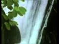 Sözləri Ramiz Abdullayev, ifa Elza Seyidcahan, bəstəkar Elza Seyidcahan - Yarpaq